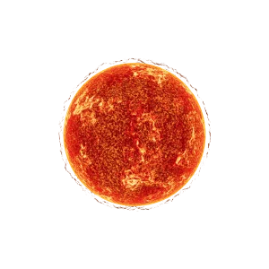 Stargaze AR Sun
